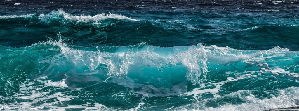 Fibromyalgie und Omega 3 aus dem Meer.